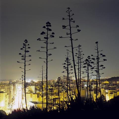 Alicante, 2006, extract of the series «Urbanic», 2004-2009
<br>© Yann Amstutz