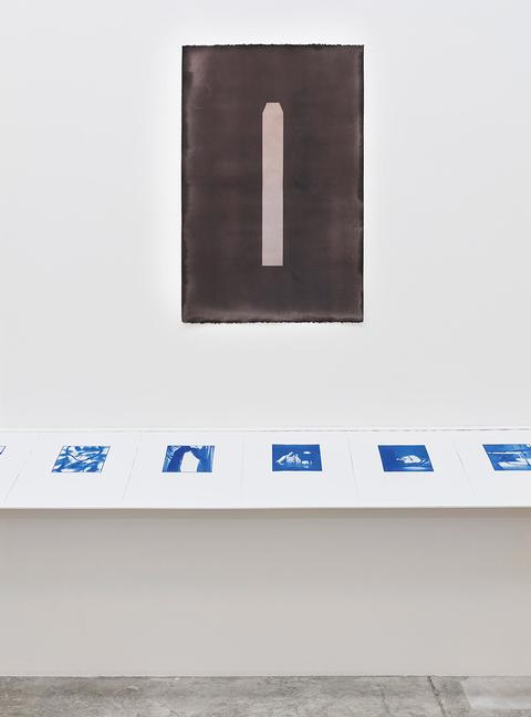 Box II (Van Dyke photogram), 2018,  exhibition view
<br>© David Gagnebin-de Bons