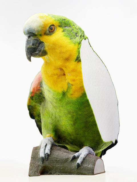 New Artificiality, 2015- / Failed 3D-printed Parrot
<br>© Catherine Leutenegger