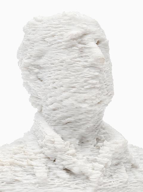 New Artificiality, 2015- / Failed 3D-printed Human Bust
<br>© Catherine Leutenegger