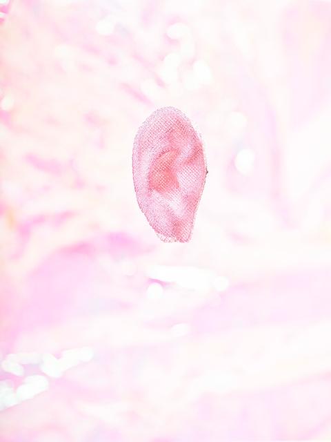 New Artificiality, 2017- / 3D-bioprinted Ear Graft
<br>© Catherine Leutenegger