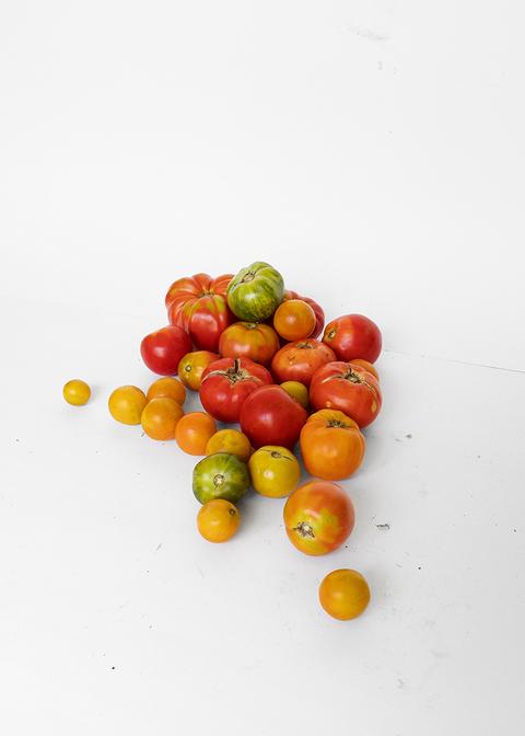 Tomates, TINA(?), 2018 <br>© Yann Haeberlin